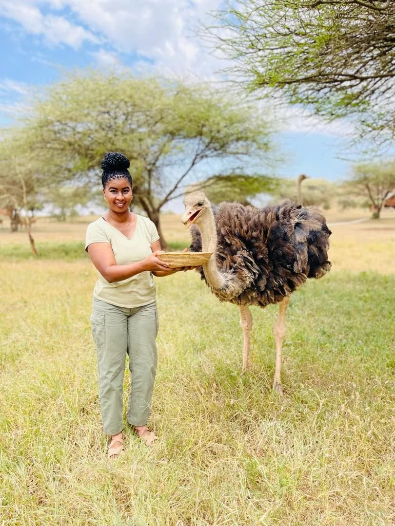 Meeting an ostrich